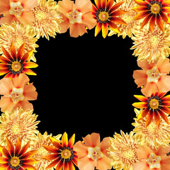 Obraz premium Beautiful floral background of orange flowers. Isolated