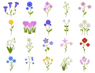 Wildflower icon set in flat style, Coronaries, cornflower, chamomile, daisy, etc., plants vector illustration - obrazy, fototapety, plakaty
