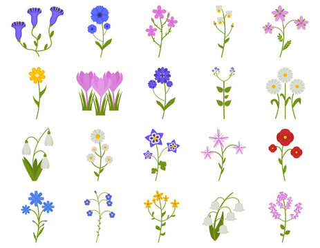 Wildflower icon set in flat style, Coronaries, cornflower, chamomile, daisy, etc., plants vector illustration