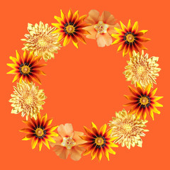 Beautiful floral circle of orange flowers. Isolated