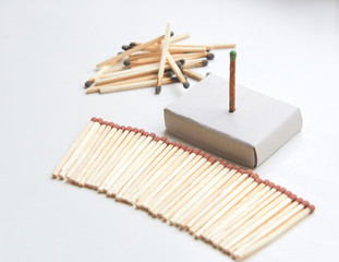 A match that symbolizes the dictator, on a white background.