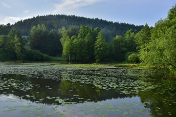 Fototapeta premium Kokorinsko, Stribrnik pond