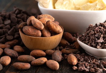 Stages of Chocolate Production Cocoa Nibs Cocoa Butter Cocoa Beans and Chocolate Chips