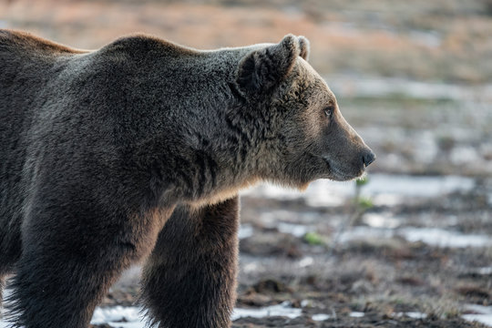 2019 04 BWC DSC03219