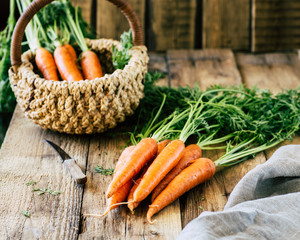 Fresh carrots with stalk and leaves on a wooden table, a crop of vegetables