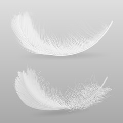 Birds flying or falling down white, fluffy feathers 3d realistic vector illustration isolated on grey background. Softness and fragility symbol. Tenderness and purity concept decorative design element
