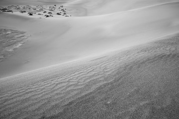 Sand Dunes in black and white