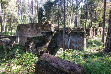 the remains of the Bibiela - Pasieki mine, which was sunk in 1917 - obrazy, fototapety, plakaty