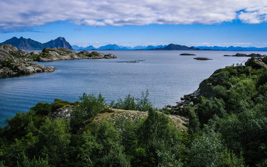 Fototapeta premium The rocky coast of the Norwegian fjord during low tide