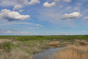 Obraz premium Beautiful landscape with small lake and cloudy sky