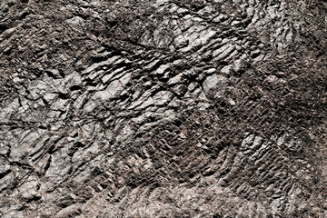 texture of ground dirt 
