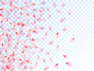 Japanese cherry petals on transparent background. Abstract spa showering backgound. Pink japanese cherry blossom petals flying vector. Spring tree blossom flower parts. Romantic wedding decoration.