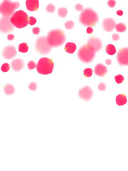 Pink rose petals falling vector valentine background. Glamour showering flower blossom parts vector. Crimson rose red pink petals spa background. Wedding invitation or natural cosmetics design.