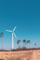 Wind generator on the background of dry grass, pine trees and blue sky. Beautiful spring landscape and windmill for alternative energy