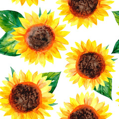 Watercolor seamless pattern with sunflowers and green leaves on white background. Summer illustration. Harvest time. 