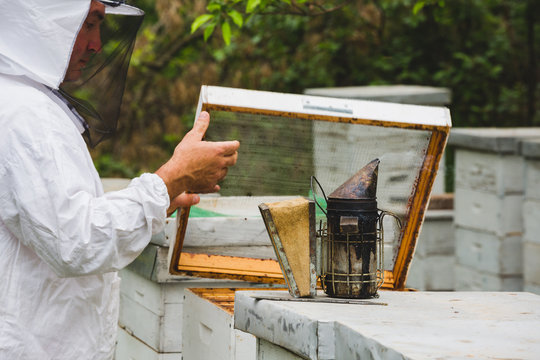 closeup of bee smoker on hive and apiarist in blurred background
