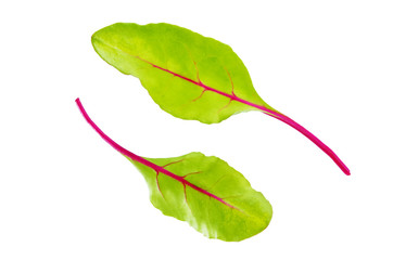 Raw green leaves on a white isolated background