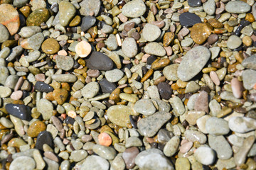 wet colored pebbles on the beachwet colored pebbles on the beach