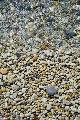 wet colored pebbles on the beach