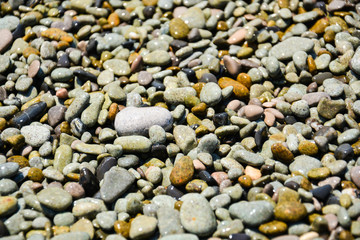 wet colored pebbles on the beach