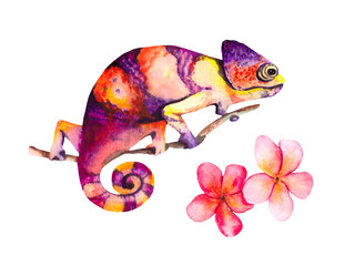 Purple-yellow chameleon on a branch with delicate flowers.  Watercolor illustration of a funny lizard on a white background.