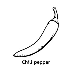 Chili pepper vector illustration.Chili pepper line drawing