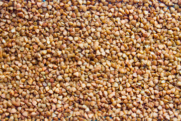buckwheat. fresh buckwheat. dry buckwheat background. buckwheat texture.