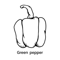 Green pepper illustration. Green pepper line drawing