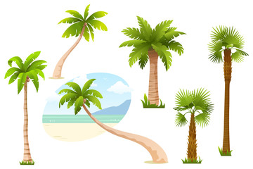 Collection of palm tree isolated on white background. Tropical palm trees with green leaves and coconuts. Cartoon style. Element for your design. Vector illustration. © alexandertrou