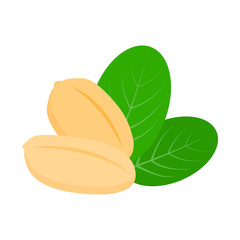 Peanut icon. isolated on white background