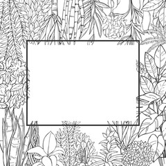 Vector background with hand drawn houseplants. Sketch  illustration.