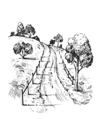 Rural landscape with road and tree. Hand drawn illustration converted to vector