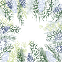 Vector background  with Christmas plants. Hand-drawn ilustration.