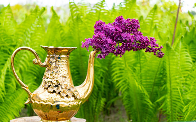 Kettle and lilac