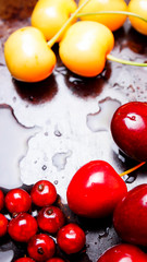 Naklejka na ściany i meble Red and yellow cherries in water drops. Fresh cherries on dark background. Washed cherries before cooking