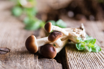 Mushrooms on rustic wooden table