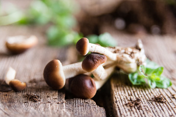 Mushrooms on rustic wooden table