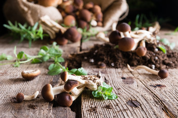 Mushrooms on rustic wooden table