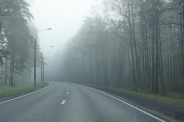 foggy autumn empty road