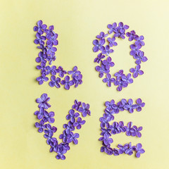 Spring flowers. Purple lilac flowers on yellow background