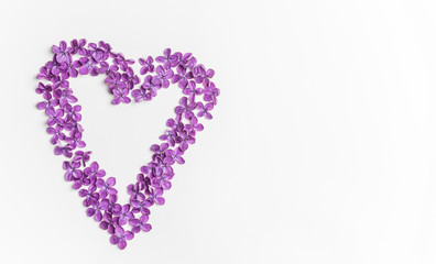 Spring flowers. Purple lilac flowers background