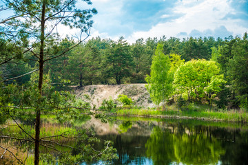 Green shore of the small lake. A small summer calm lake, pine forest and young deciduous trees on the shore