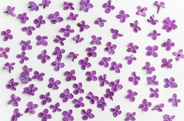 Spring flowers. Purple lilac flowers background