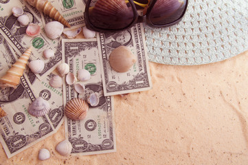 beautiful shells lie on the banknotes of one dollar nominee