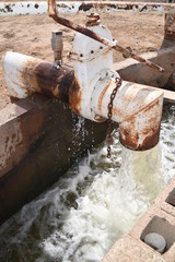 Arizona irrigation discharge pipe moving water