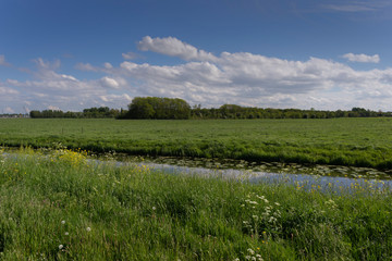 Typical Dutch landscape with white clouds and blue sky