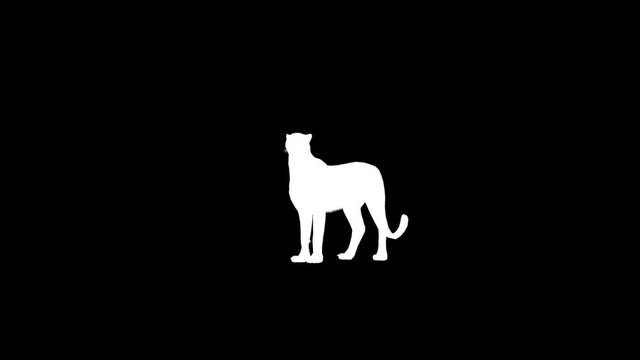 Cheetah Silhouette Transparent Alpha Video Loop Animation