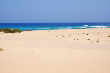 Beach Corralejo on Fuerteventura, Canary Islands.