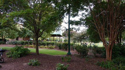 Water and Nature at a Park