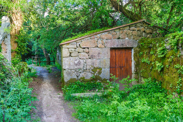 Watermill on the forest